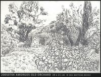 20050704_Amorgos-OldOrchard-web